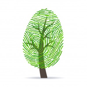 Fingerprint green tree